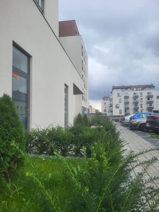 Olive Tree Apartment - Klimatyzacja - Air Conditioning-Self-Check-In Katowice Luaran gambar
