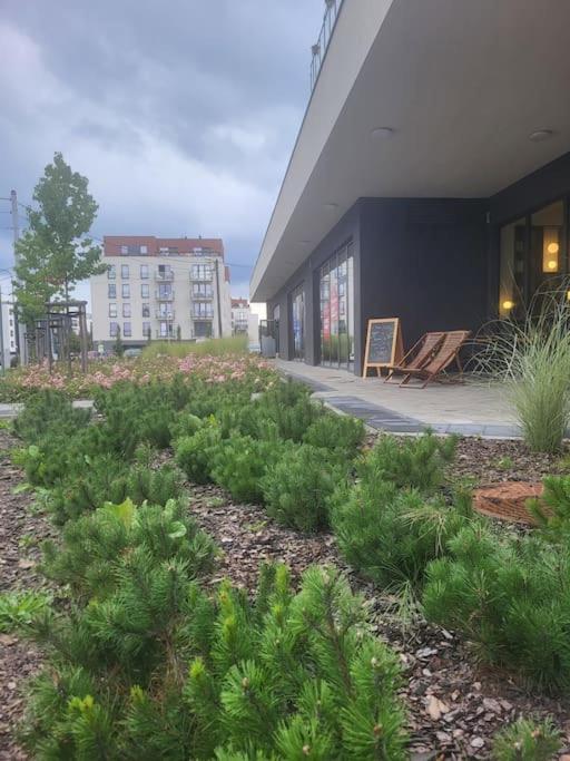 Olive Tree Apartment - Klimatyzacja - Air Conditioning-Self-Check-In Katowice Luaran gambar